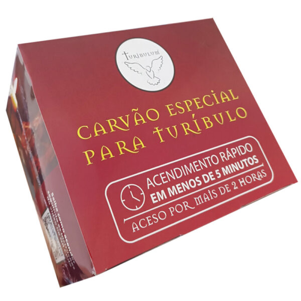 Carvão Longa Duração Caixa c/30 Pastilhas 5x3cm - 9140